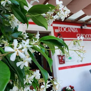 https://locanda-chiocciola.hotelinveneto.com